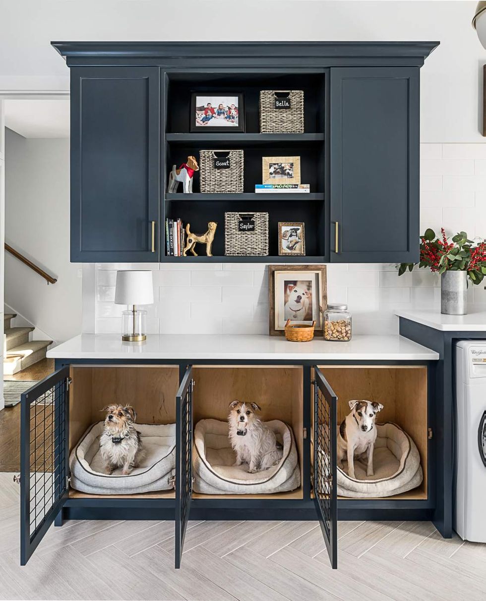 2024 U.S. Houzz Pets & the Home Study, built-in cabinets for dogs