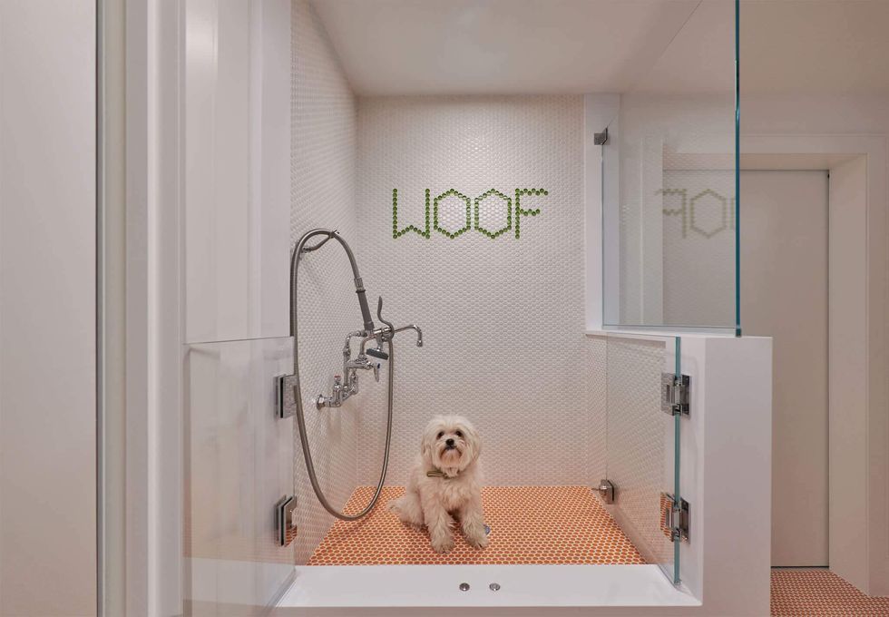 2024 U.S. Houzz Pets & the Home Study, custom designed grooming station for pets