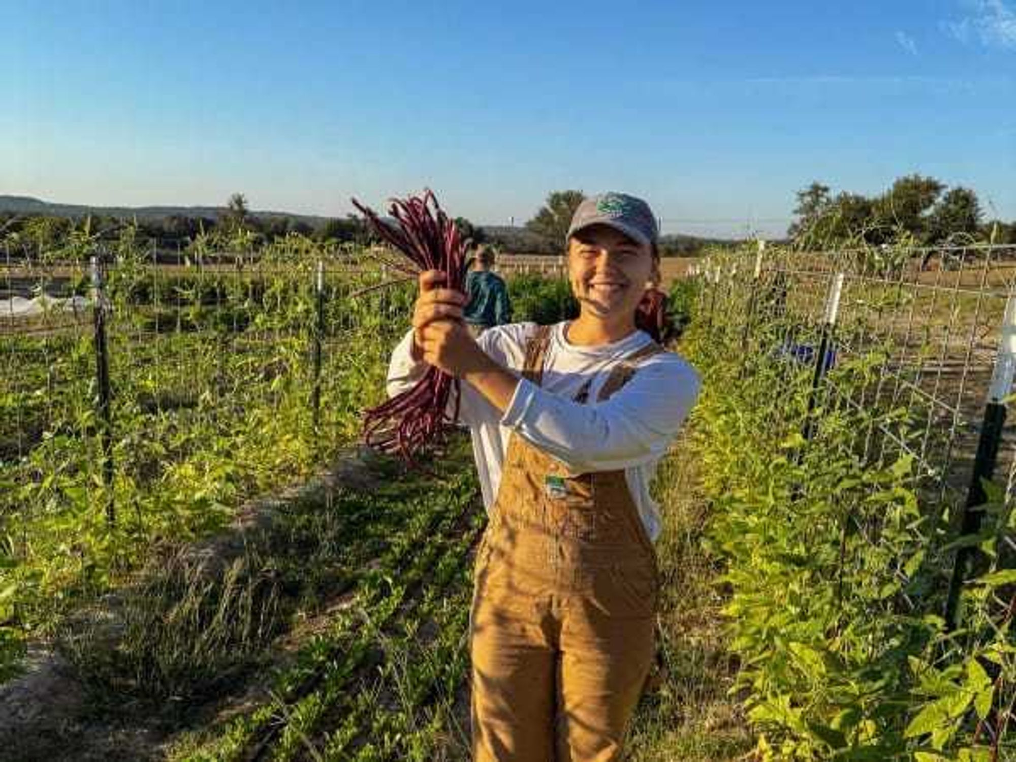 A farmer shows off burgundy beans at Hope Full Farm