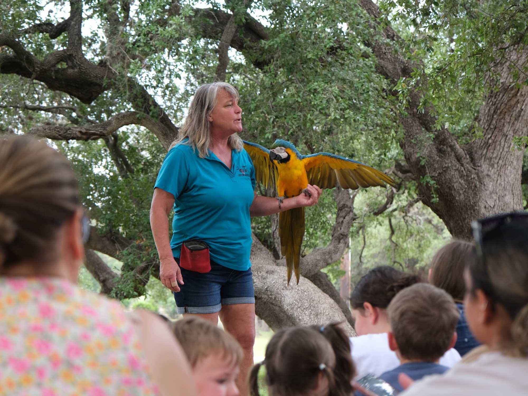 A representative demonstrates a parrot to a crowd at the San Antonio Public Library