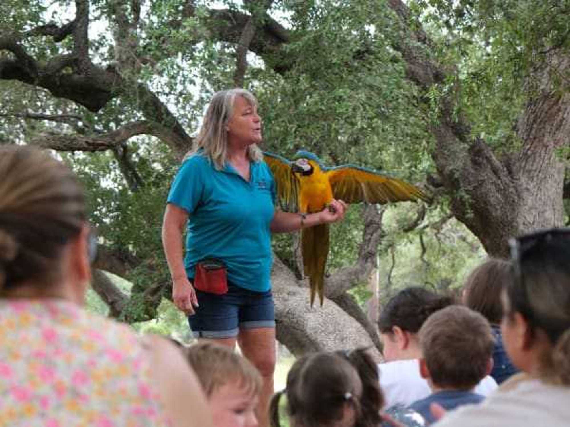 A representative demonstrates a parrot to a crowd at the San Antonio Public Library