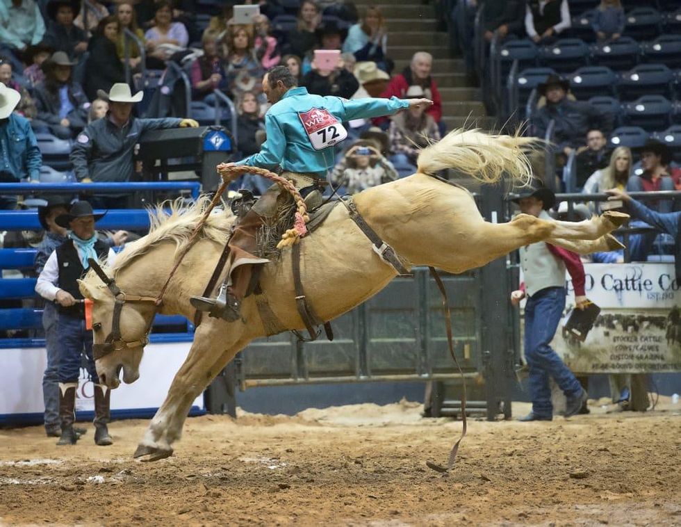 amarillo rodeo