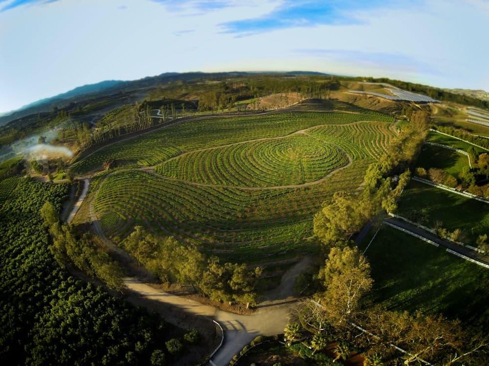 Apricot Lane Farms in The Biggest Little Farm
