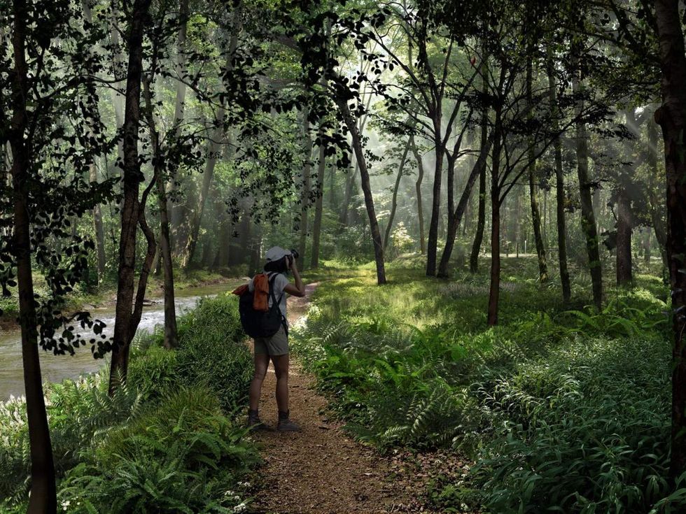 Arboretum San Antonio Master Plan