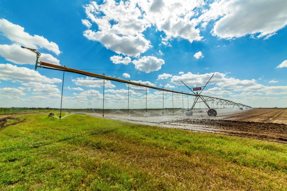 Atacosta County 380 organic farm for sale, farm equipment