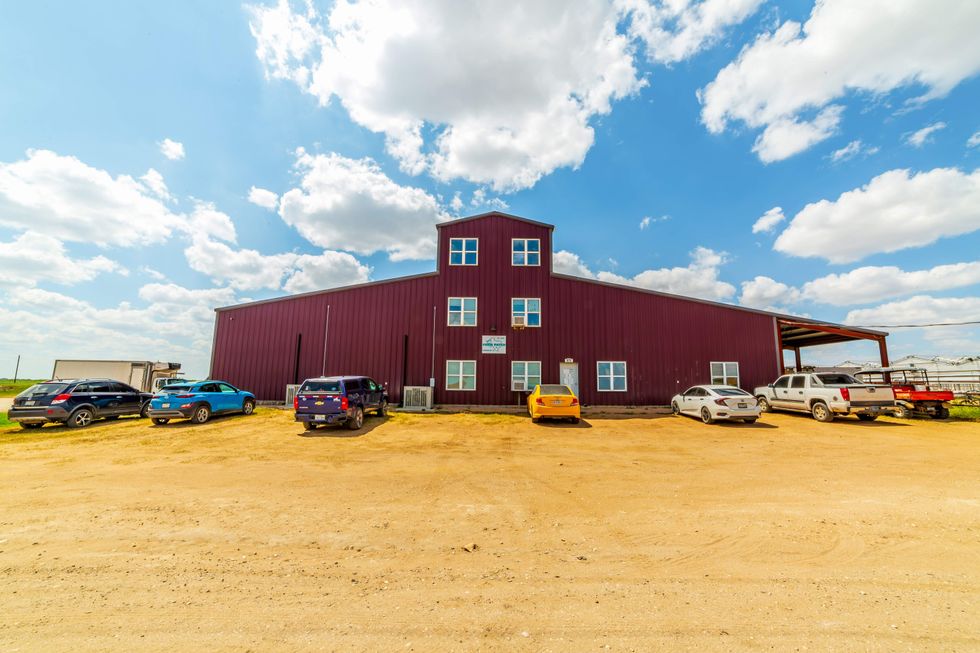 Atacosta County 380 organic farm for sale, farmhouse