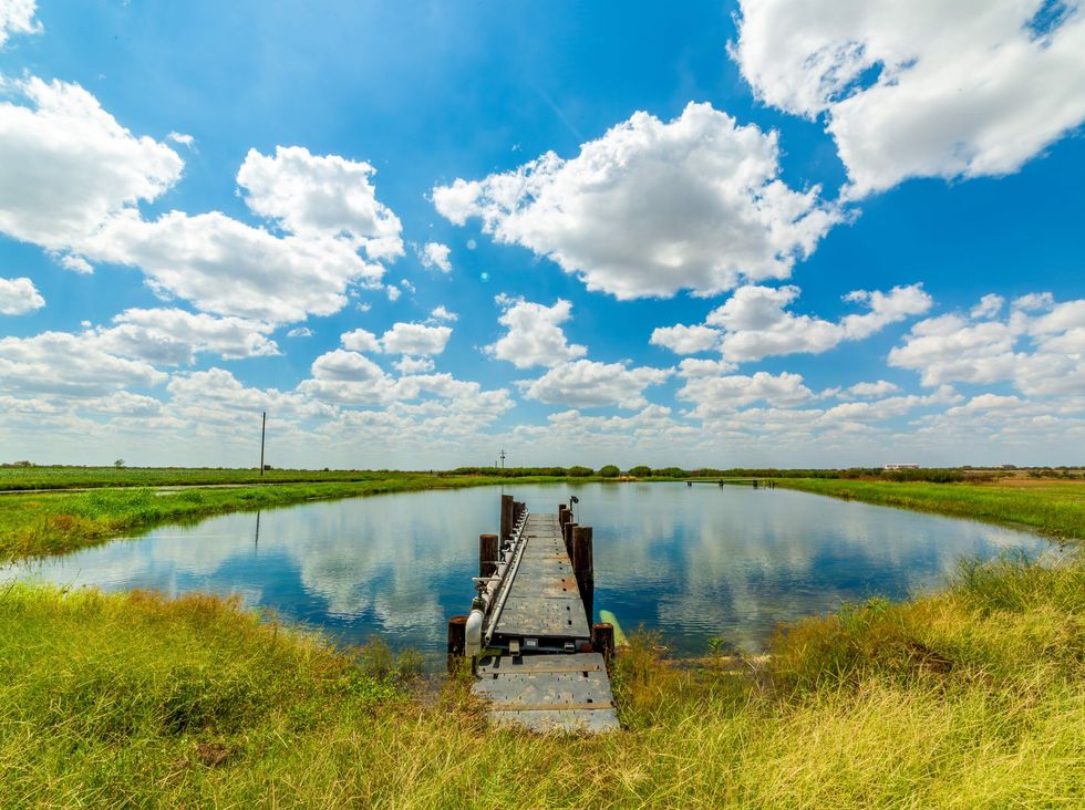 Atacosta County 380 organic farm for sale, pond