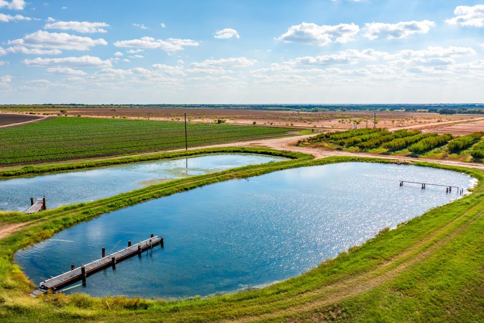 Atacosta County 380 organic farm for sale, ponds