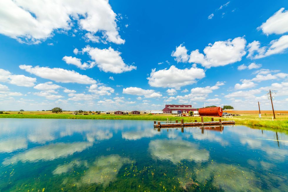 Atacosta County 380 organic farm for sale