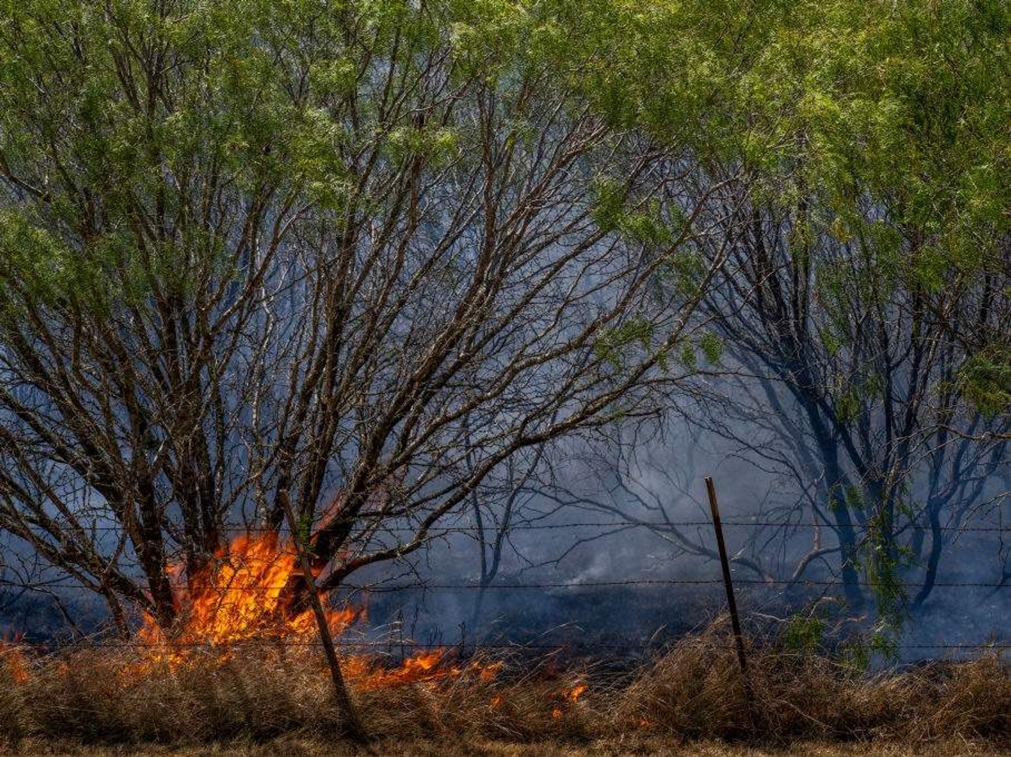 Austin wildfire 2023