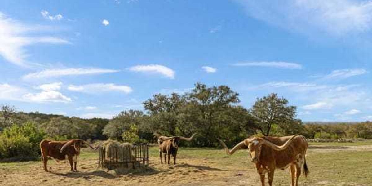 Mrs. Baird’s household ranch hits marketplace for .95 million Mrs. Baird’s household ranch hits marketplace for .95 million