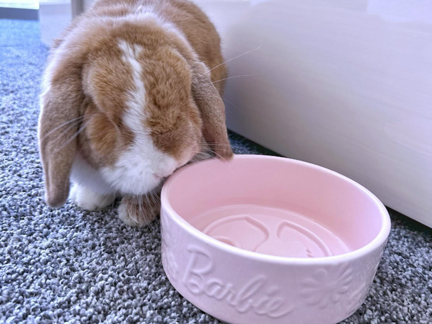 Barbie Truck Dreamhouse Living Tour