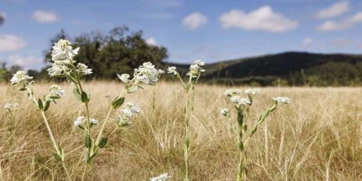 Texas to open new Bear Creek State Park in Uvalde County Texas to open new Bear Creek State Park in Uvalde County
