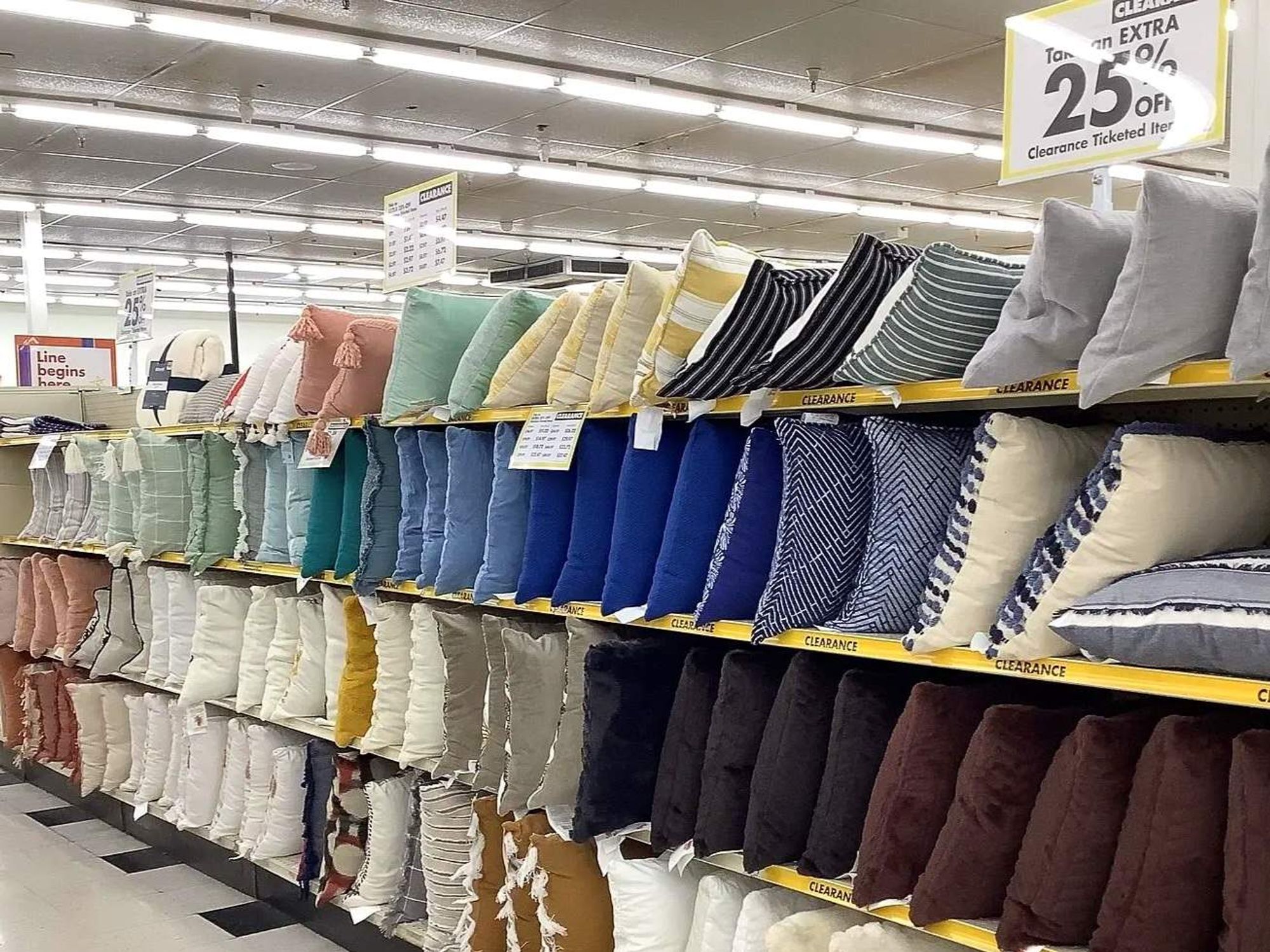 Big Lots pillows