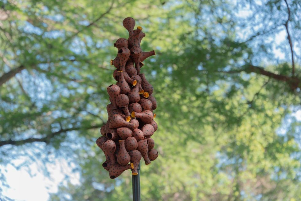 Birdsong Brackenridge Birdhouse