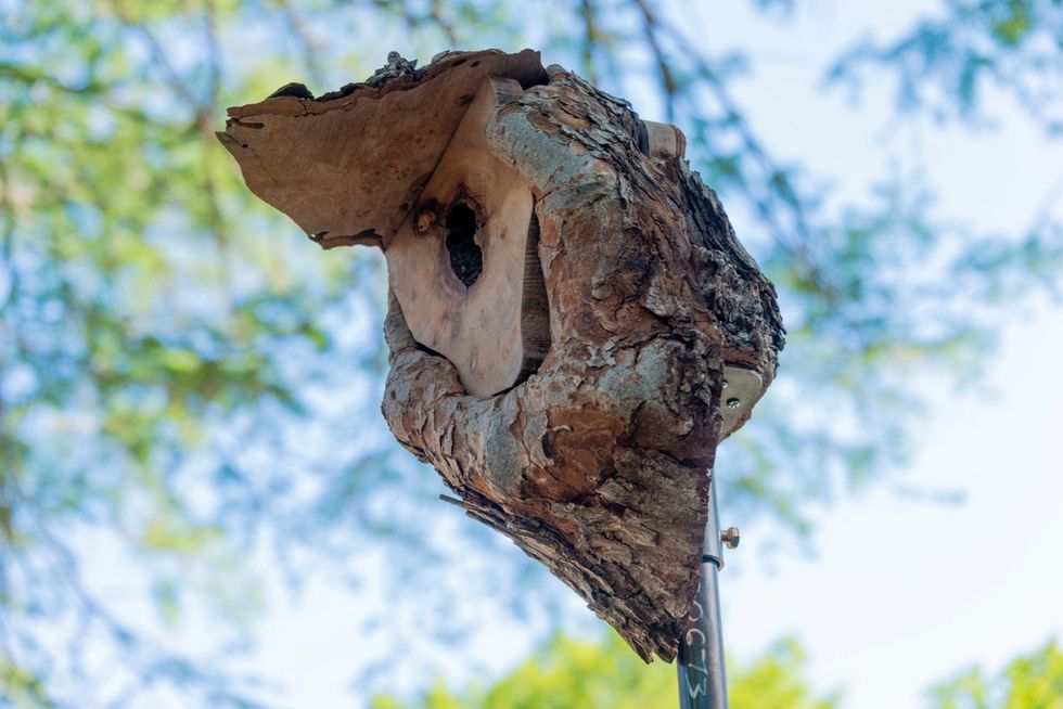 Birdsong Brackenridge Birdhouse