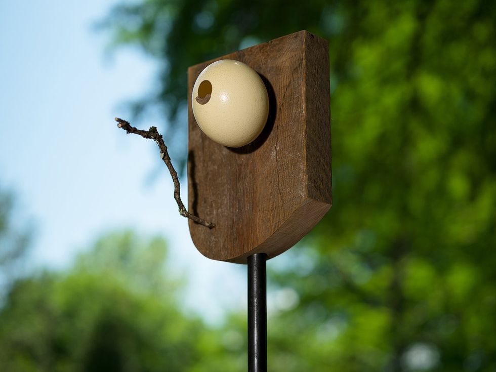 Birdsong Brackenridge Birdhouse