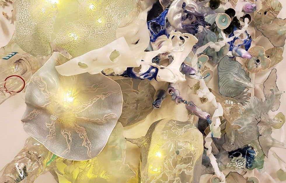 Bleached Reef by Margaret Craig