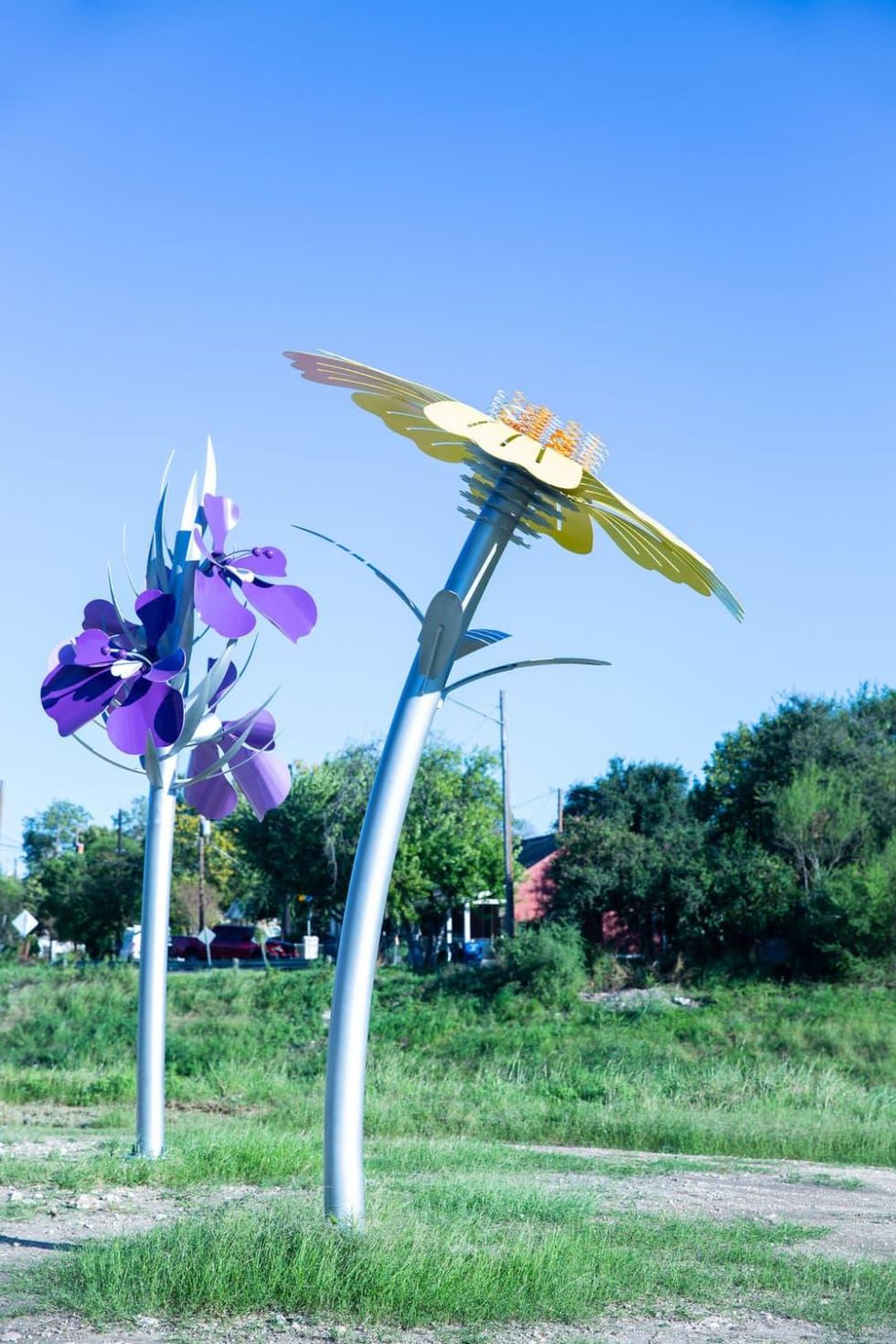 Bloom at Farias Park