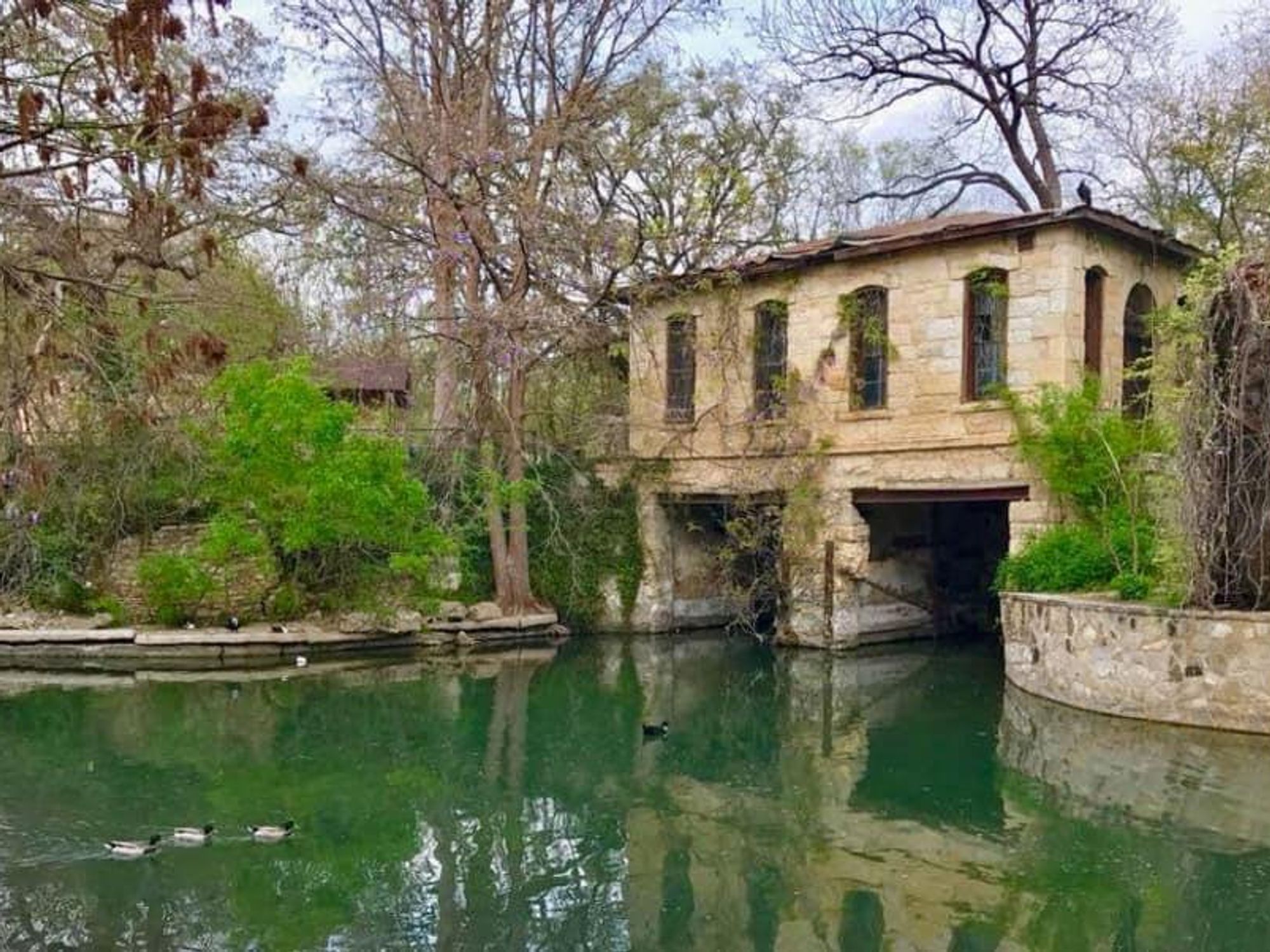 Brackenridge Park San Antonio
