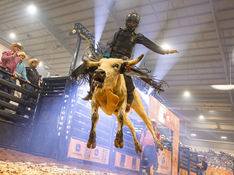 Bulls, Bands, and Barrels