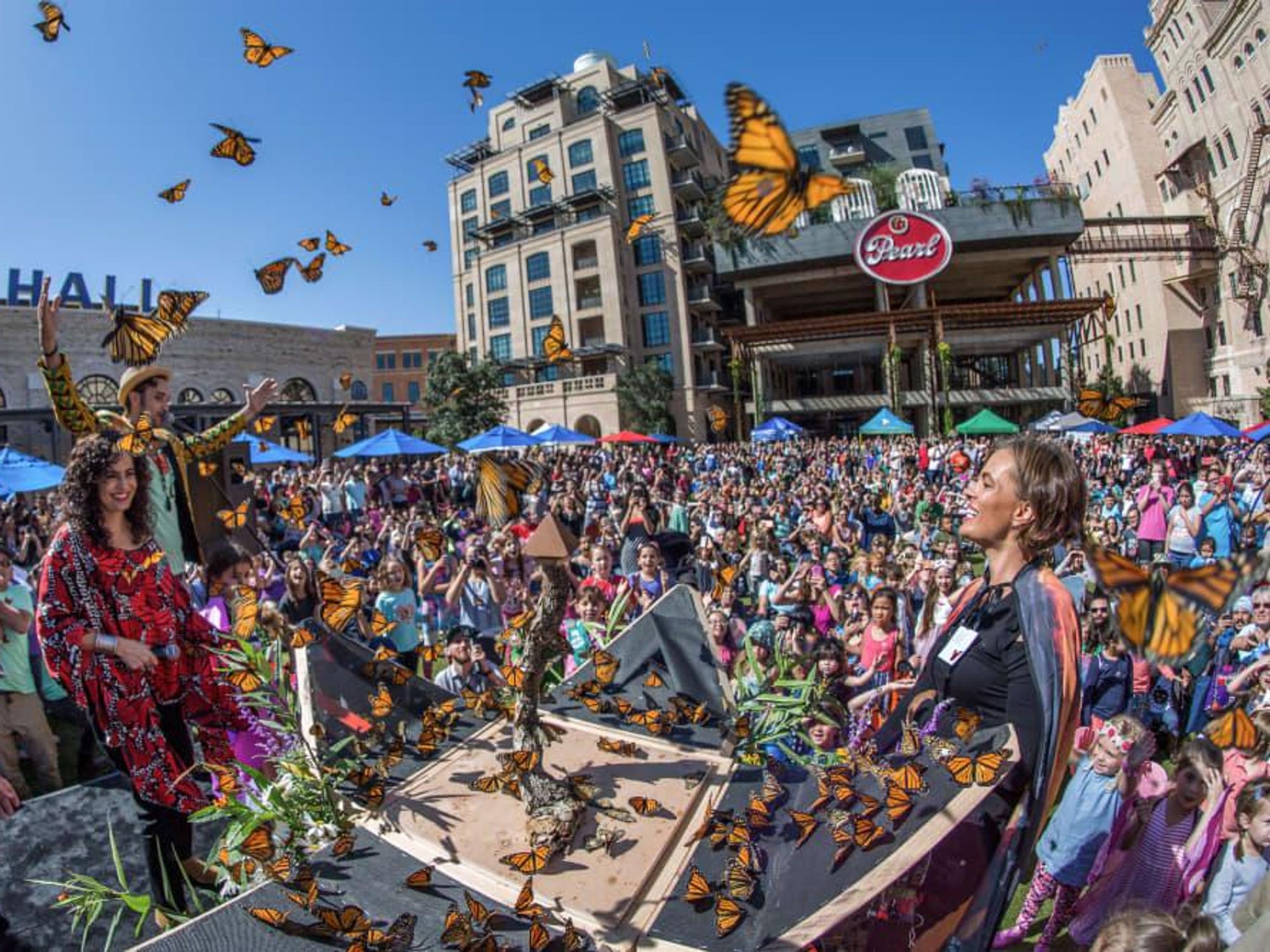 Butterfly Festival San Antonio Monarch Butterfly & Pollinator Festival