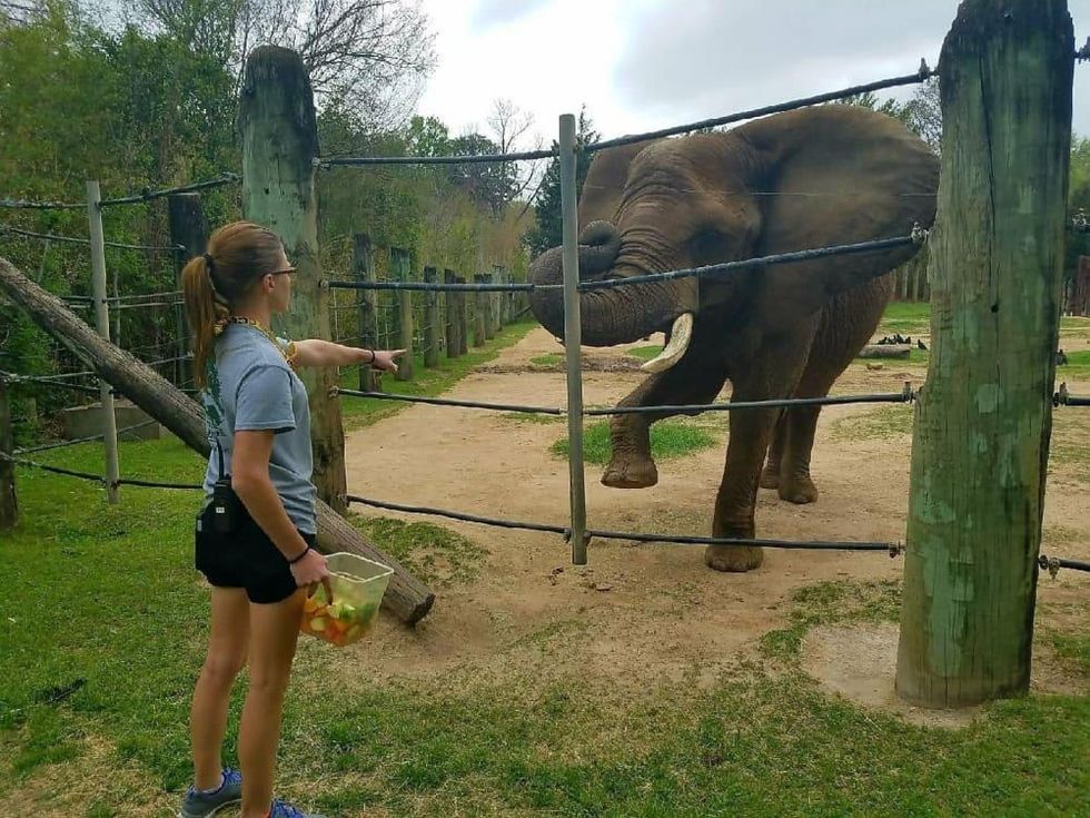 Get up close and personal with animals at Cameron Park Zoo ...