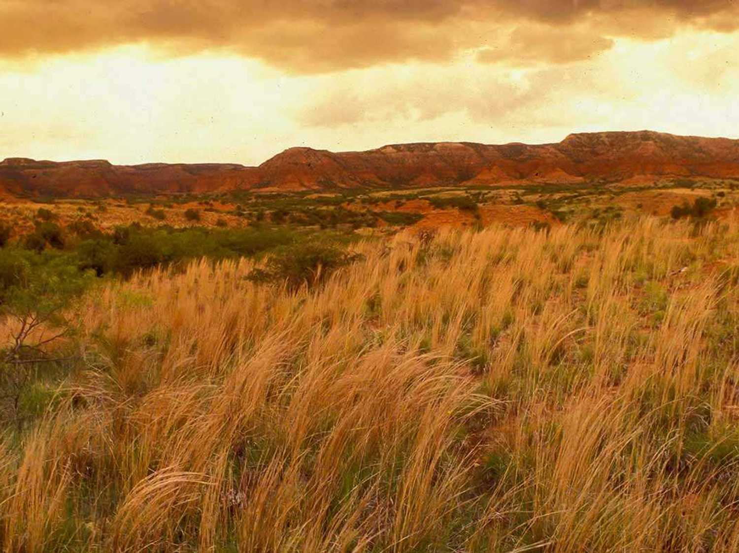 Caprock Canyons State Park