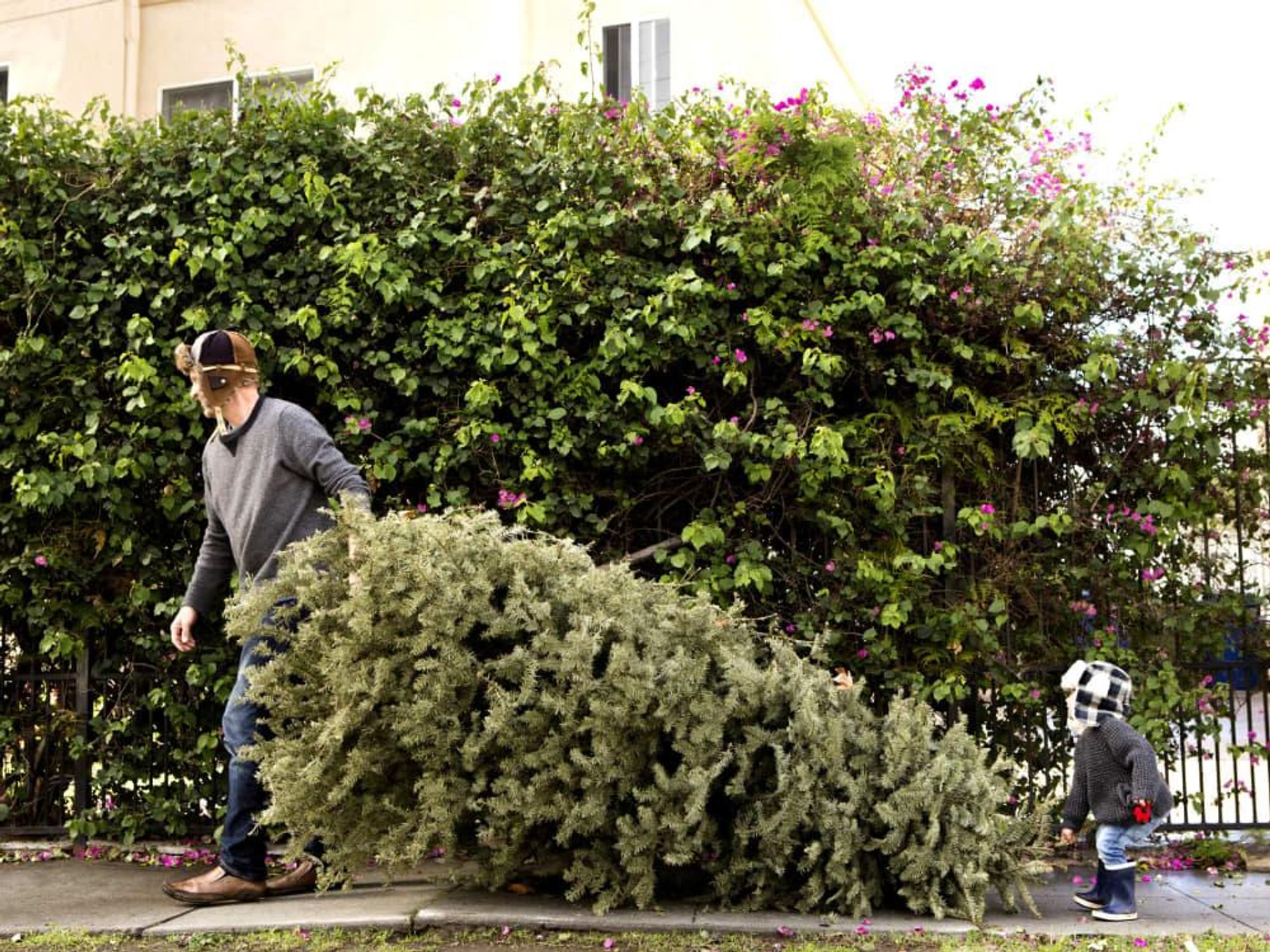 Christmas tree recycle father son