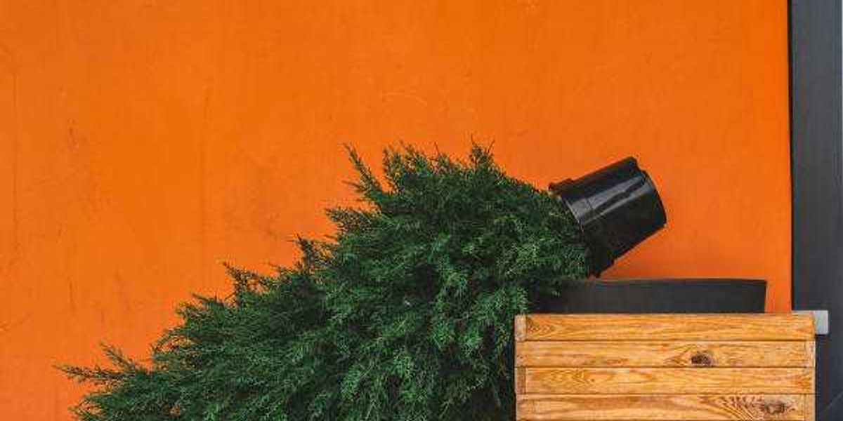 7 suggestions for decreasing vacation waste in San Antonio 7 suggestions for decreasing vacation waste in San Antonio