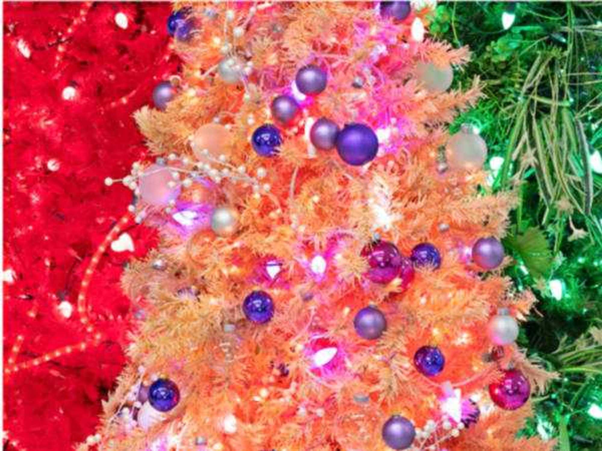 Chuck Ramirez Christmas Trees