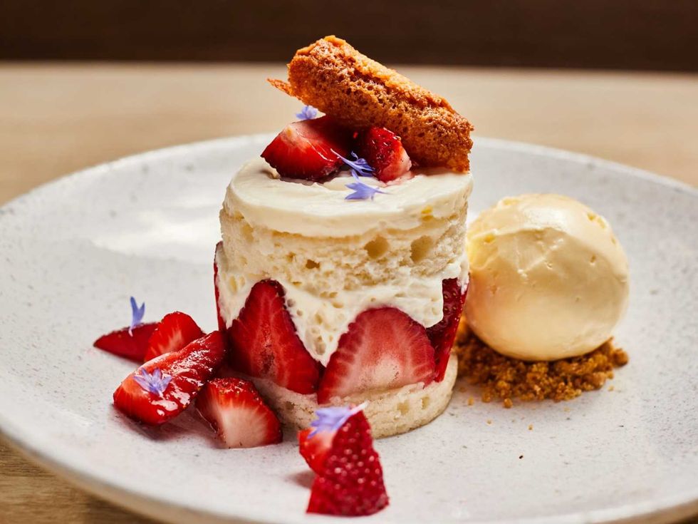 Clementine San Antonio