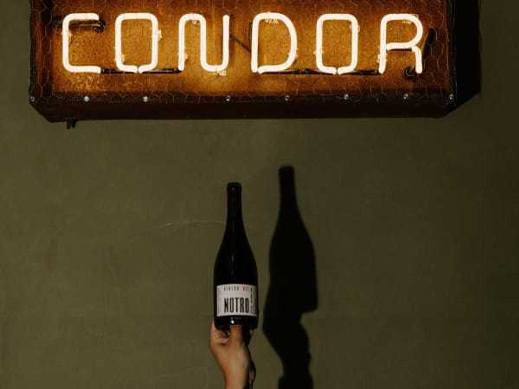 Condor San Antonio