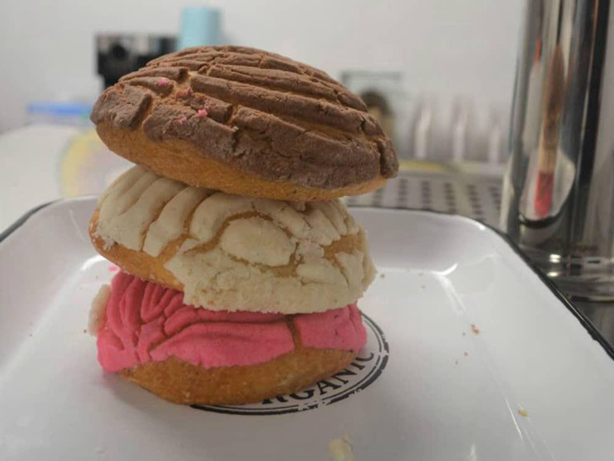 Dab Hemp Cafe San Antonio conchas