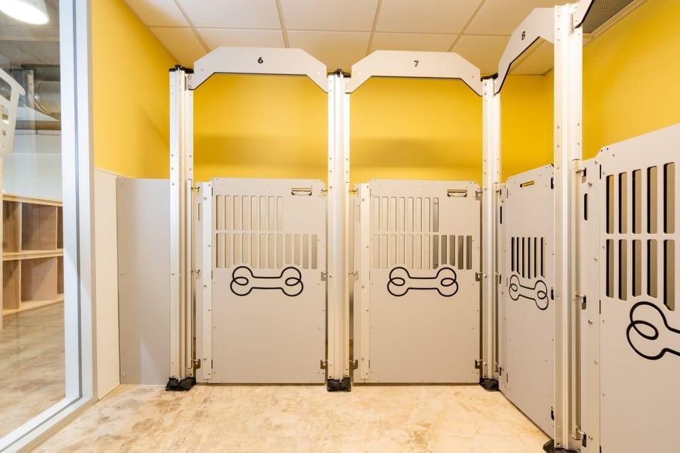 Day care kennels