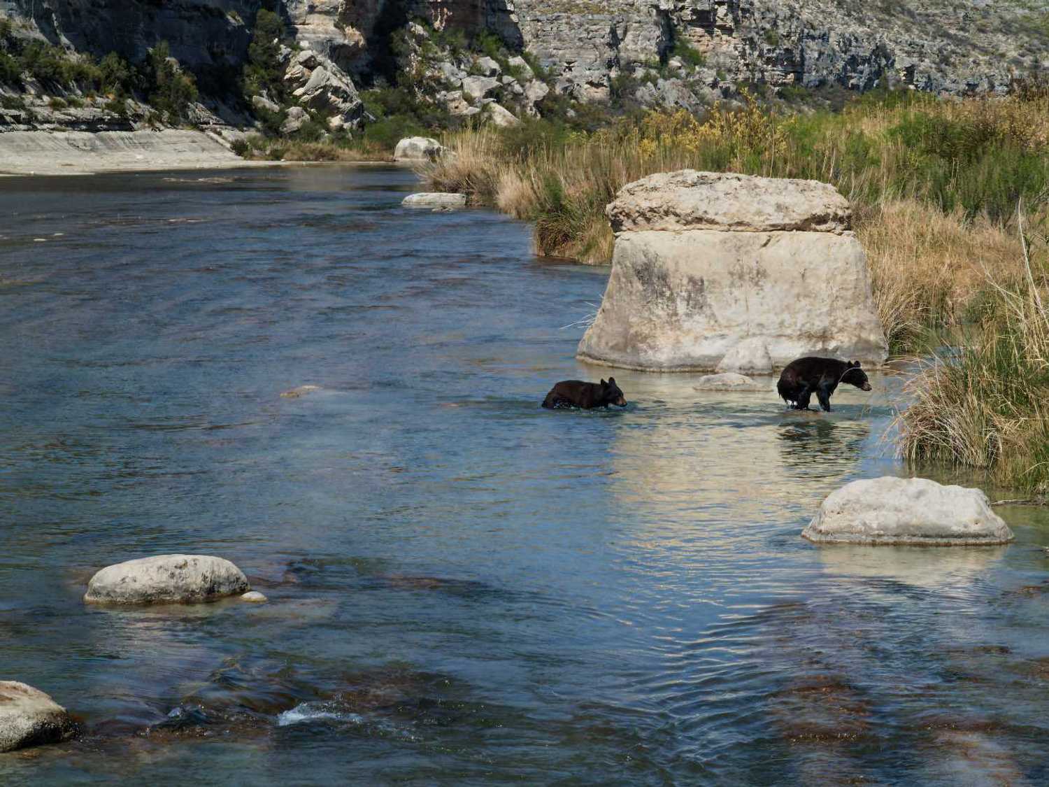 Deep in the Heart 2: Texas Rivers