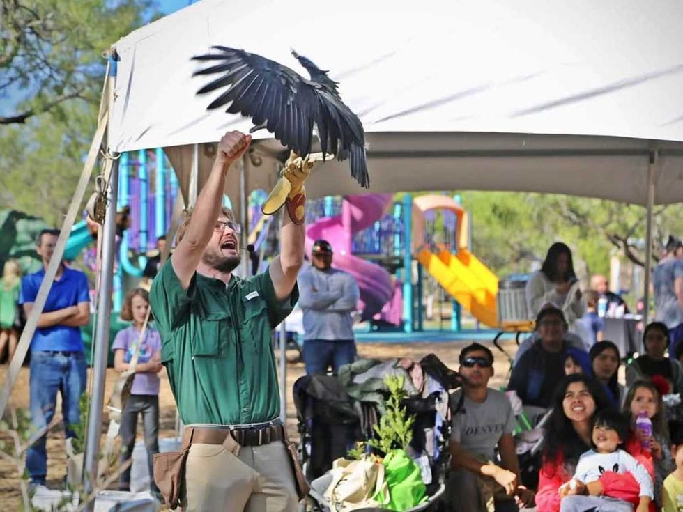 Dia del Arbol San Antonio
