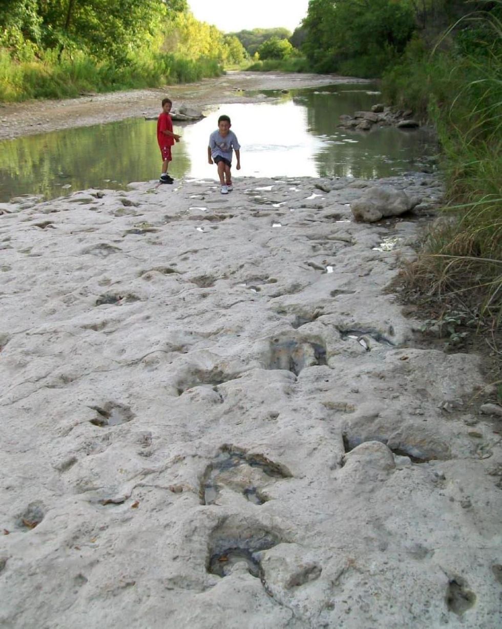 Dinosaur Valley State Park footprints