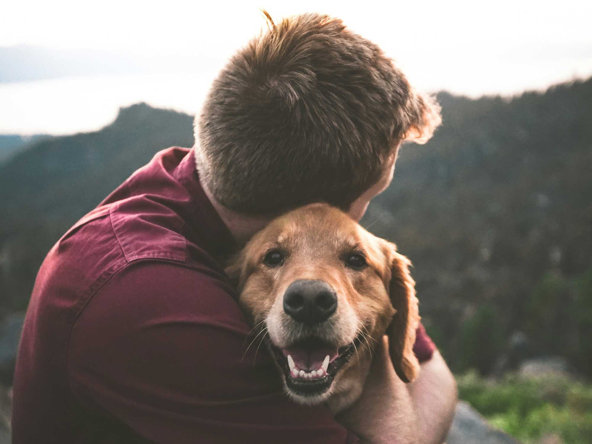 Dog
