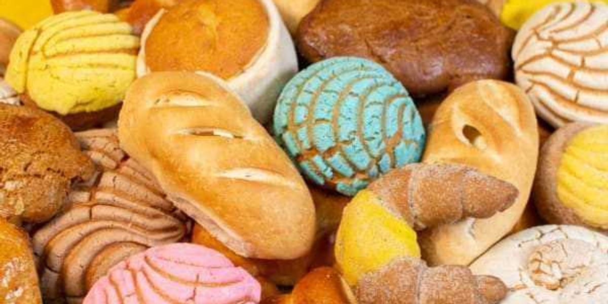 El Bolillo Bakery coming to San Antonio and extra prime information El Bolillo Bakery coming to San Antonio and extra prime information