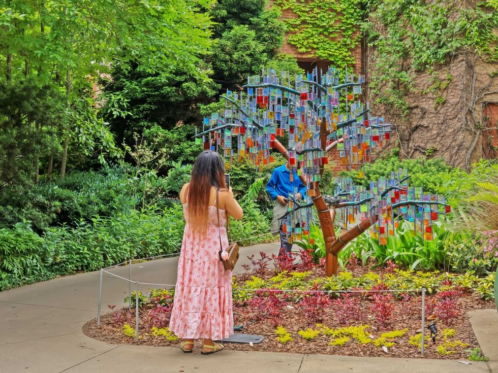 Enchanted Trees San Antonio Botanical Garden