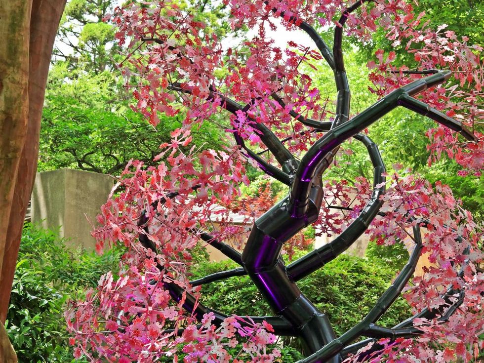 Enchanted Trees San Antonio Botanical Garden