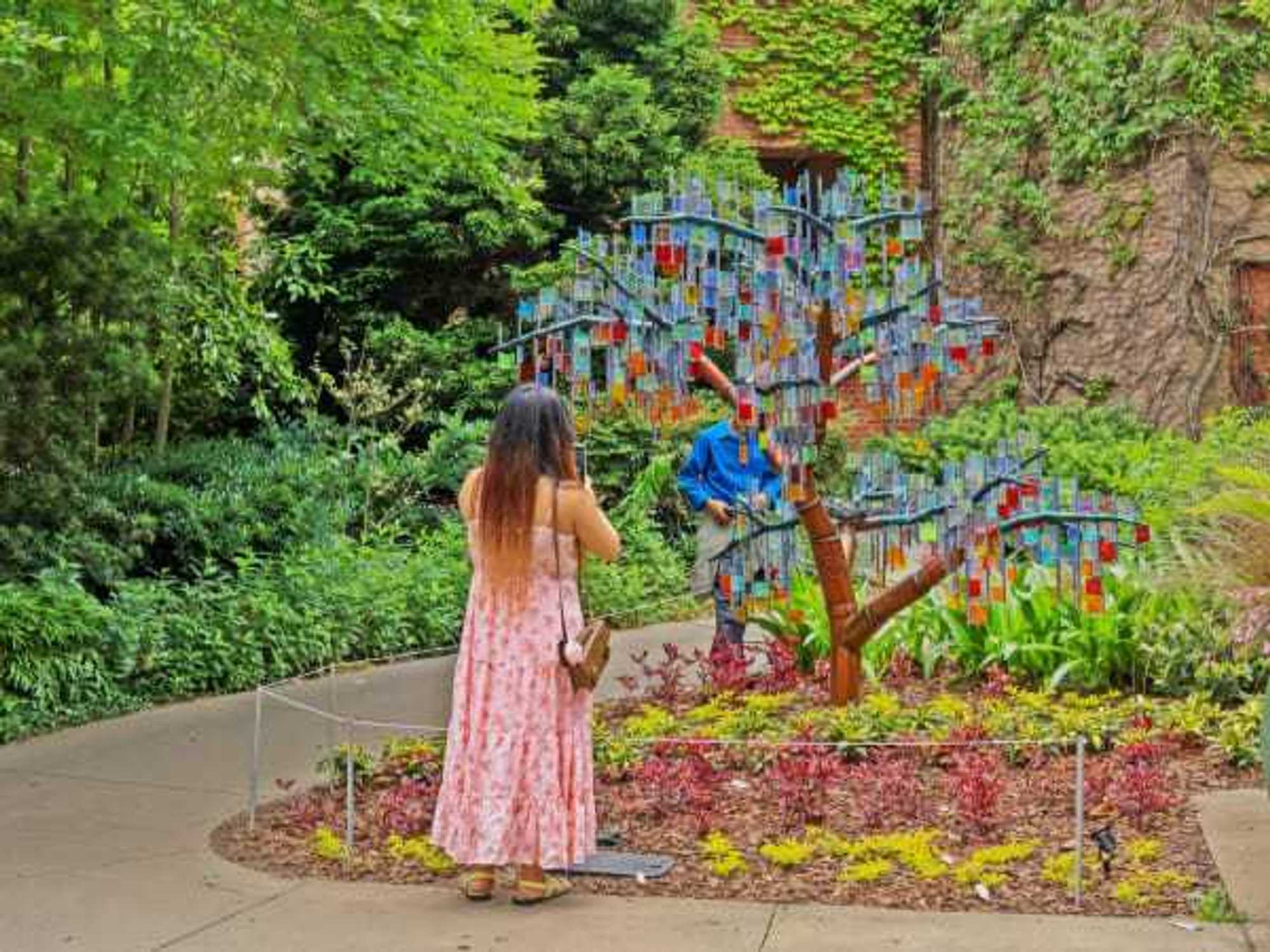 Enchanted Trees San Antonio Botanical Garden