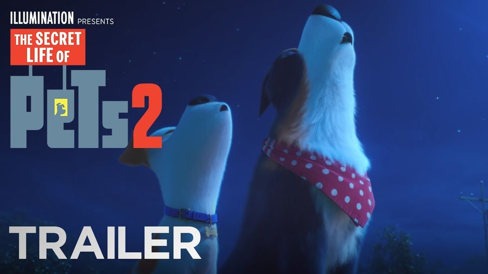 The Secret Life of Pets 2 trips itself up with divided focus