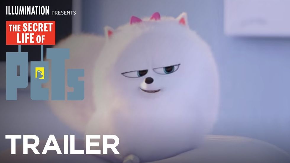 The Secret Life of Pets can't live on cute and funny alone