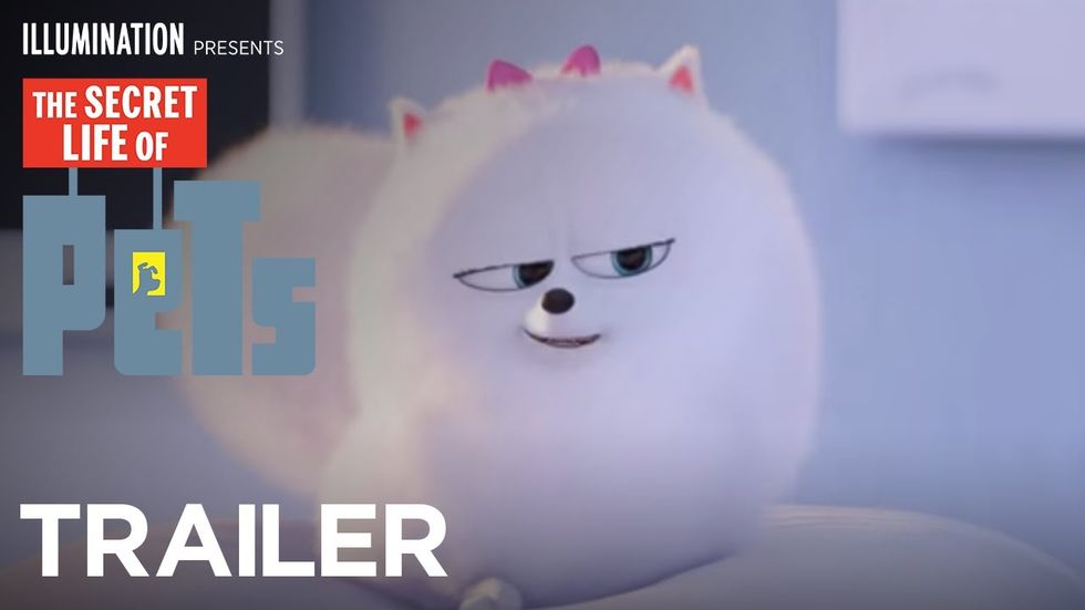 The Secret Life of Pets can't live on cute and funny alone