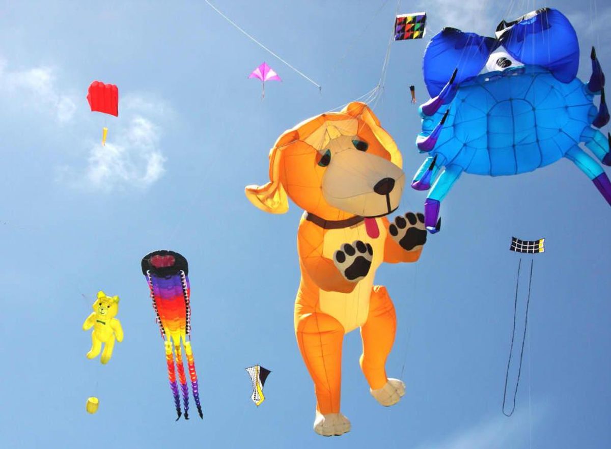 Enjoy a day of kites, kidfriendly fun, and even pet adoptions at the