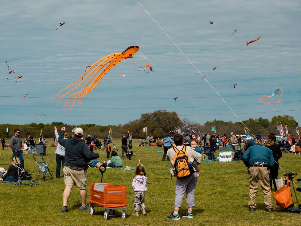 Fest of Tails: Kite Festival & Dog Fair