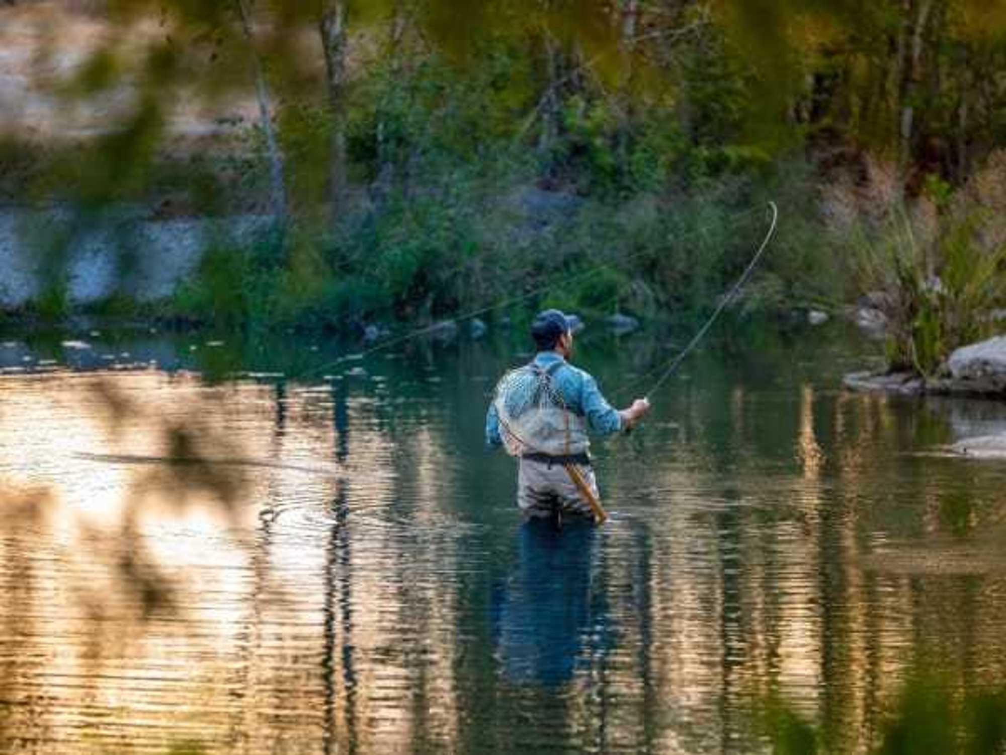 Fishing in the Comal