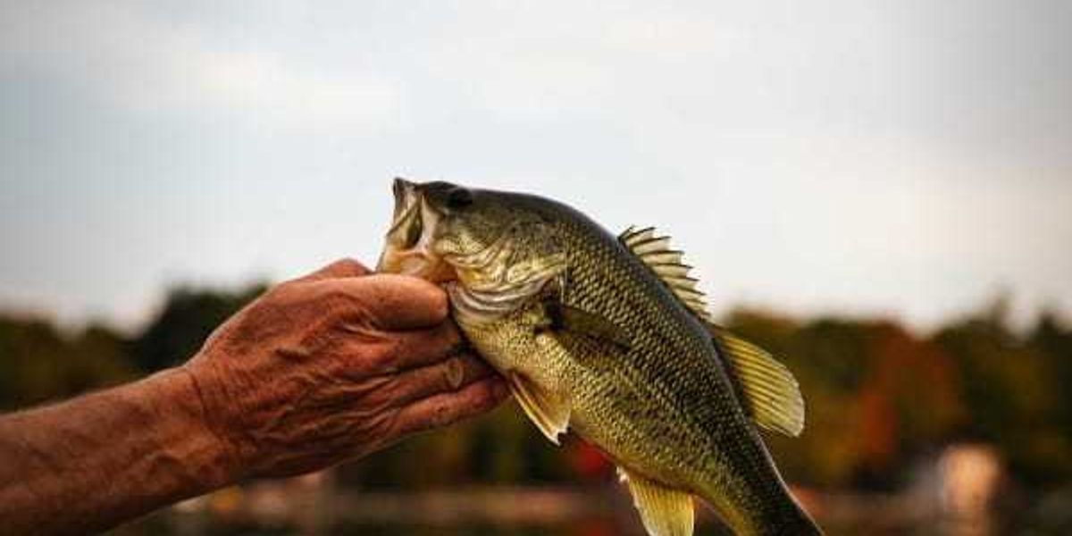 Texas Parks & Wildlife launches free fishing for one day only in June